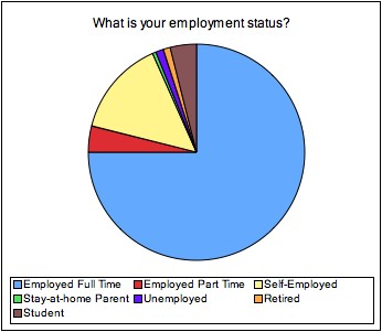 Employment status of fitness bloggers